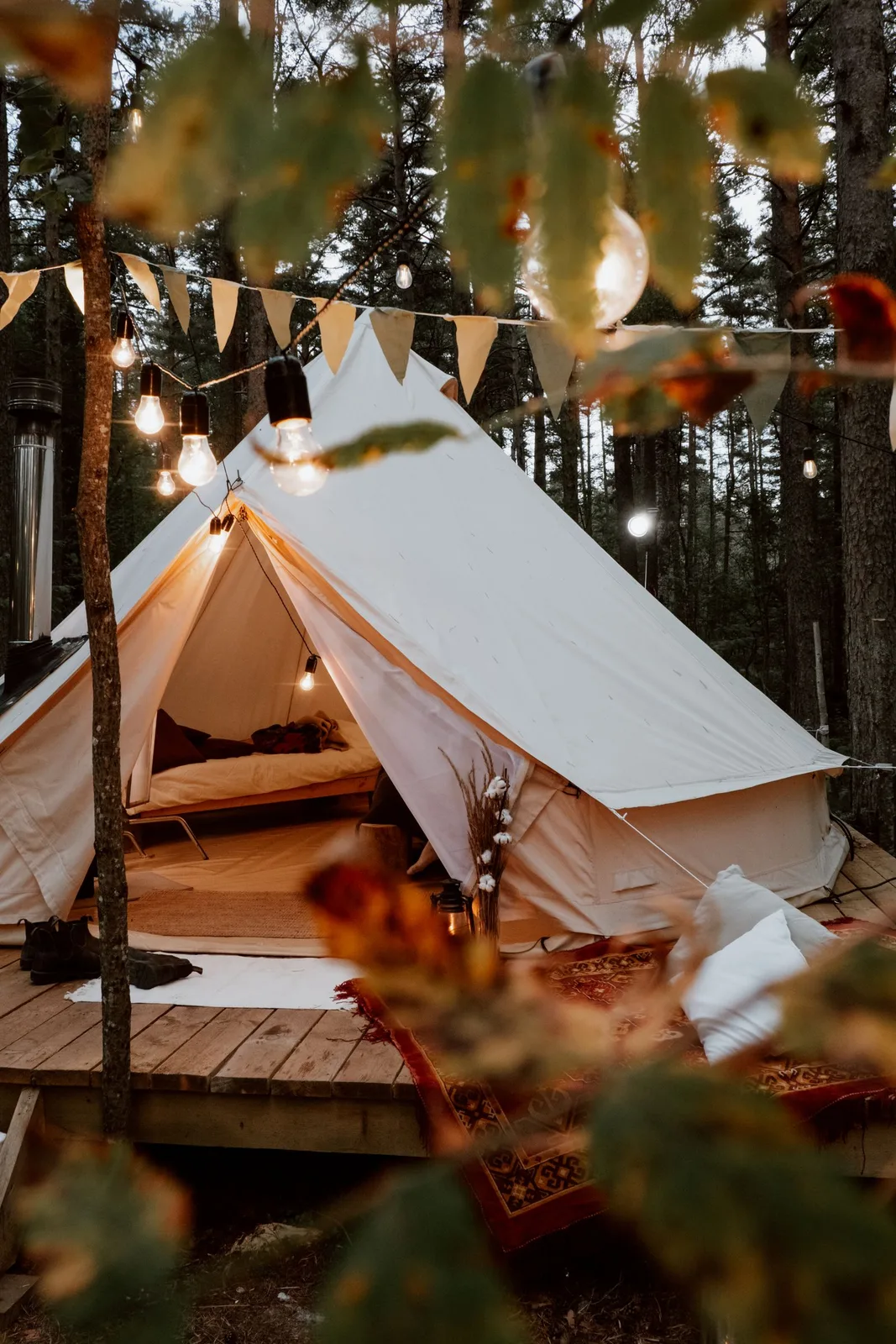 A glamping tent among trees.