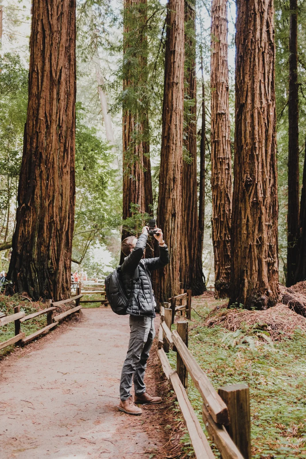 A photographer with a camera on a forest trail.