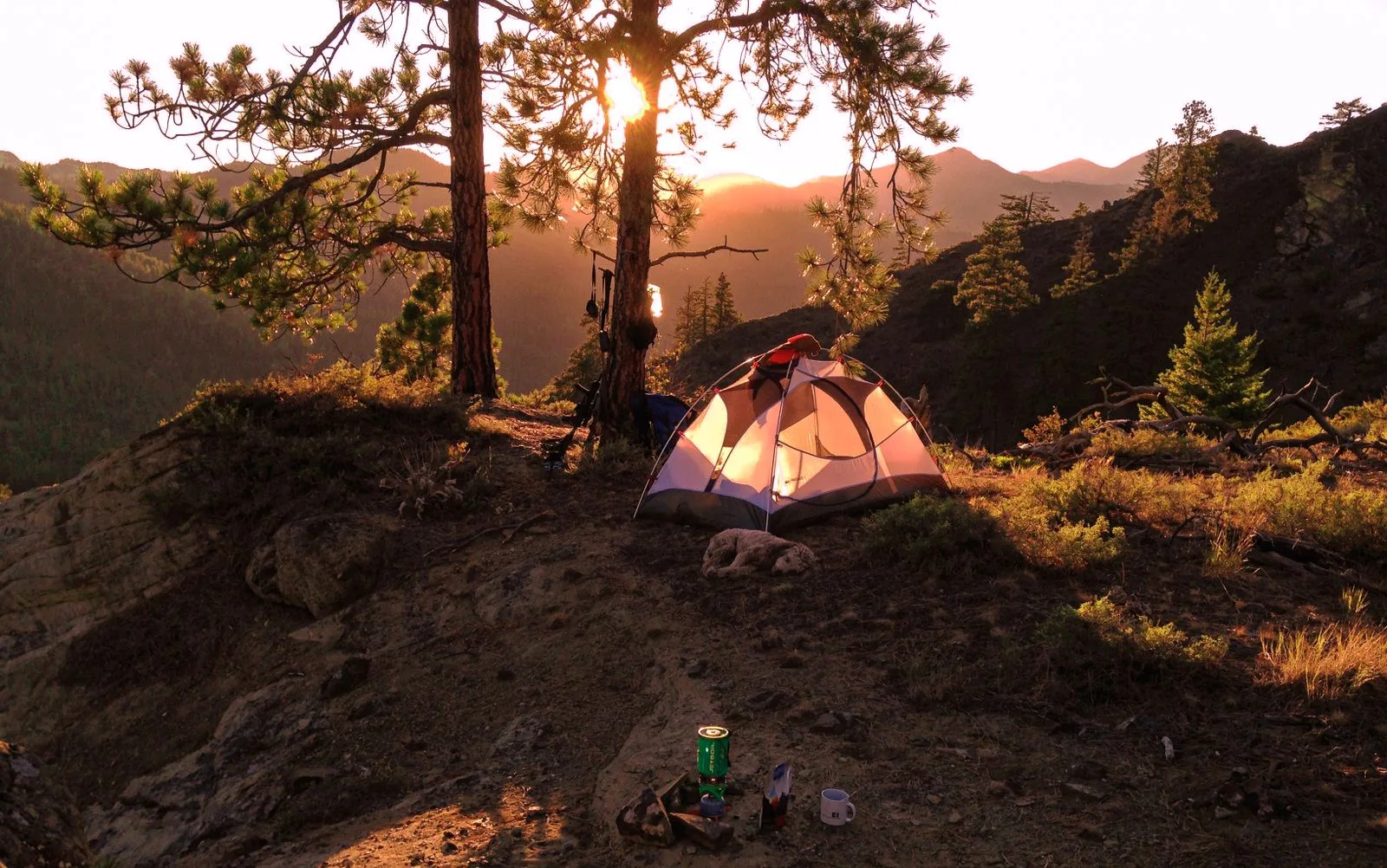 A yellow tent in warm mountain daylight.