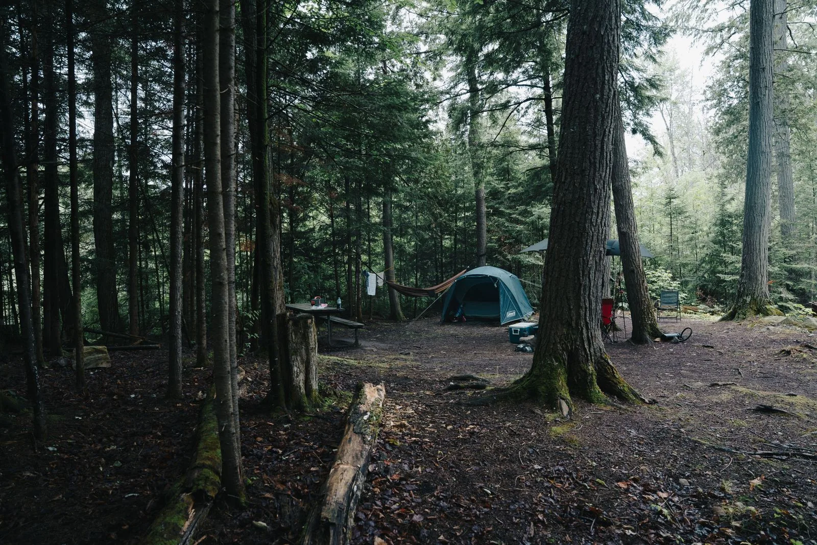 A hammock at a forest camp.